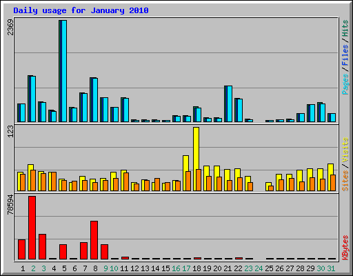 Daily usage for January 2010