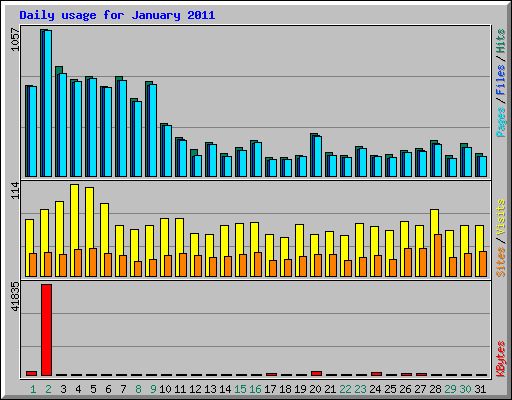 Daily usage for January 2011