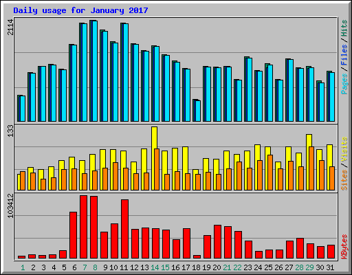 Daily usage for January 2017