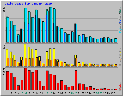 Daily usage for January 2019