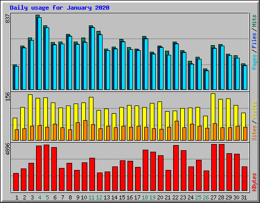 Daily usage for January 2020