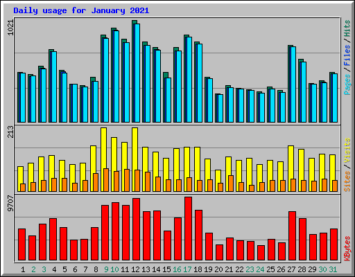 Daily usage for January 2021