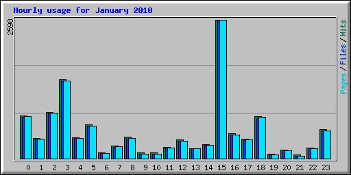 Hourly usage for January 2010