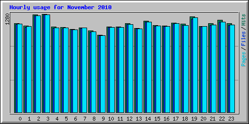 Hourly usage for November 2010