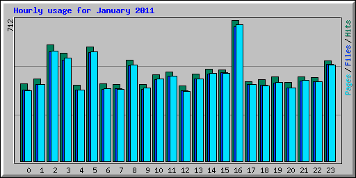 Hourly usage for January 2011