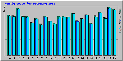 Hourly usage for February 2011