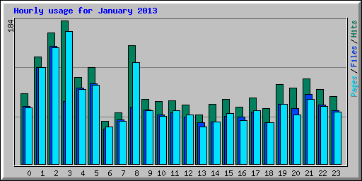 Hourly usage for January 2013