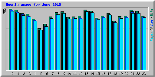 Hourly usage for June 2013