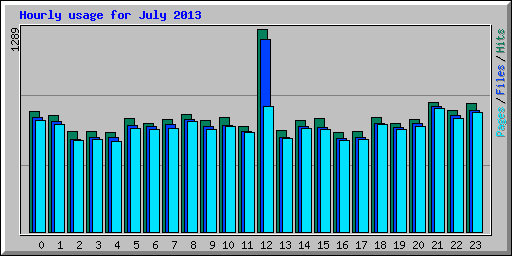 Hourly usage for July 2013