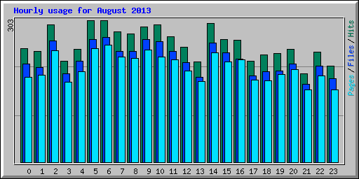 Hourly usage for August 2013