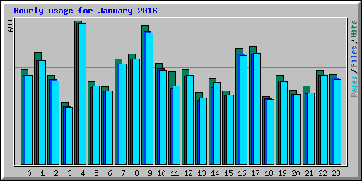 Hourly usage for January 2016