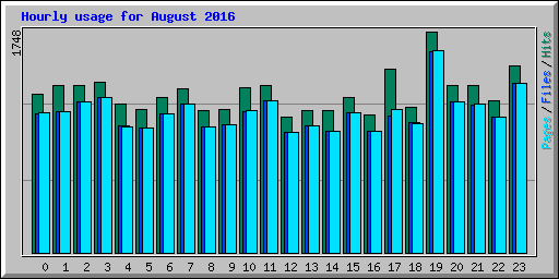 Hourly usage for August 2016