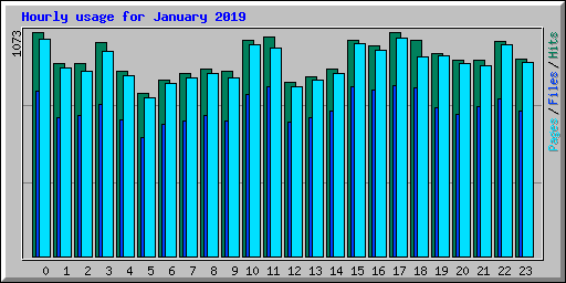 Hourly usage for January 2019