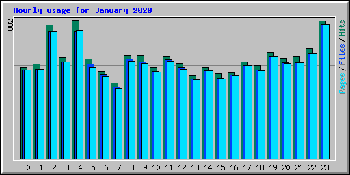 Hourly usage for January 2020