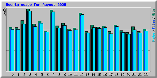 Hourly usage for August 2020