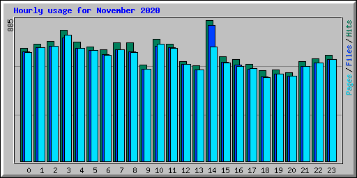 Hourly usage for November 2020