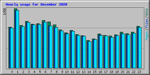 Hourly usage for December 2020