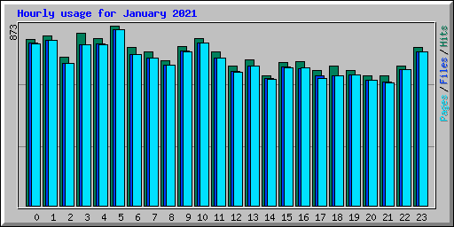 Hourly usage for January 2021