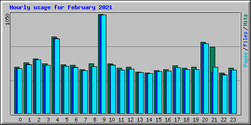 Hourly usage for February 2021